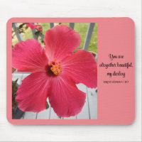 Photo of Pink Flower Song of Solomon Bible Verse
