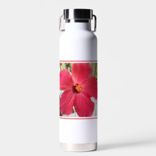 Photo of Pink Flower Song of Solomon Bible Verse Water Bottle