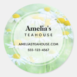 Photo of Pretty Daisies in a Field Business Classic Round Sticker