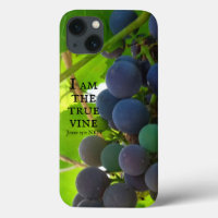 Photo of Purple Grapes Gospel of John Bible Verse
