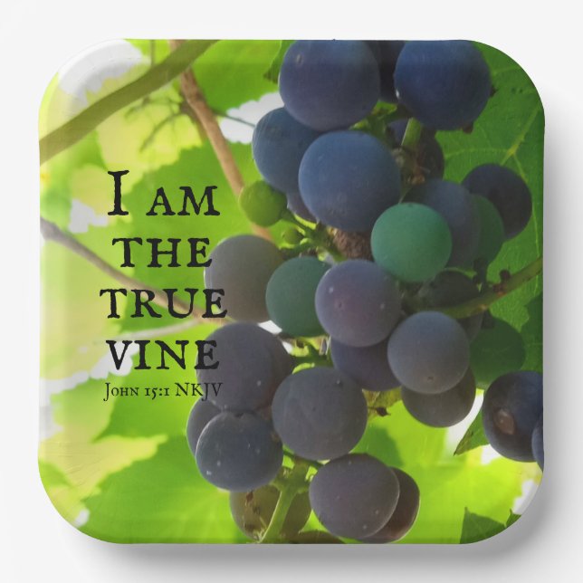 Photo of Purple Grapes Gospel of John Bible Verse Paper Plate (Front)