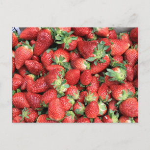 Photo of Red Juicy Strawberries Postcard