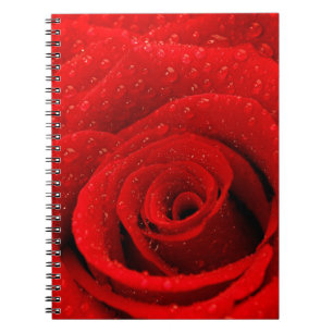 Photo of Red Rose Background Notebook