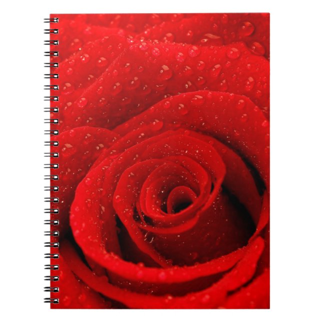 Photo of Red Rose Background Notebook (Front)