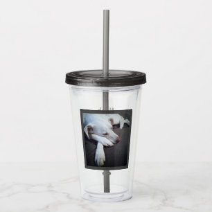 Photo of Sleeping Dog Speedy Recovery Get Well Acrylic Tumbler