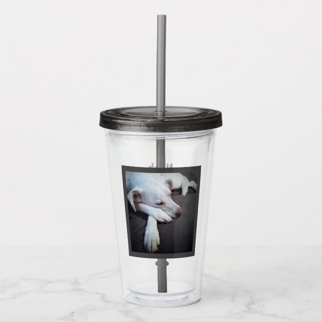Photo of Sleeping Dog Speedy Recovery Get Well Acrylic Tumbler (Front)