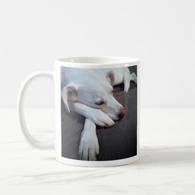 Photo of Sleeping Dog Speedy Recovery Get Well Coffee Mug (Left)