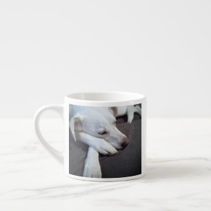 Photo of Sleeping Dog Speedy Recovery Get Well Espresso Cup