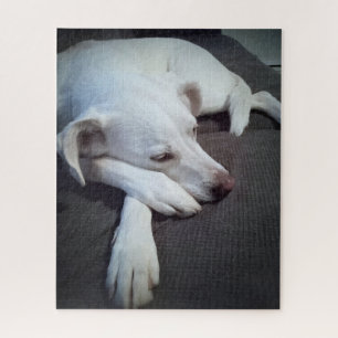 Photo of Sleeping White Dog with Cute Paws Jigsaw Puzzle