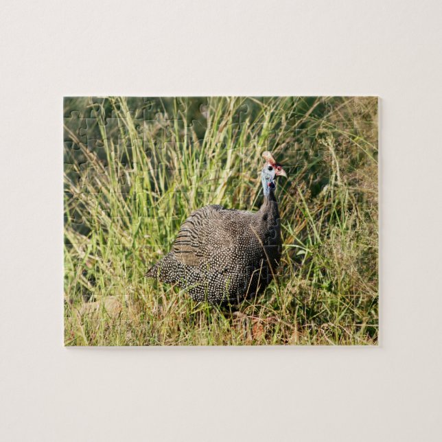 Photo of South African Lowveld Guinea Fowl Bird Jigsaw Puzzle (Horizontal)