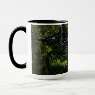 Photo of the Bridge at Lake Parker in Lakeland Mug