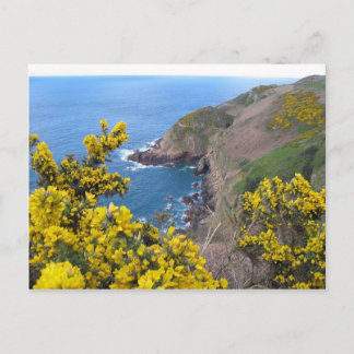 Photo Of The Coast In Jersey Postcard