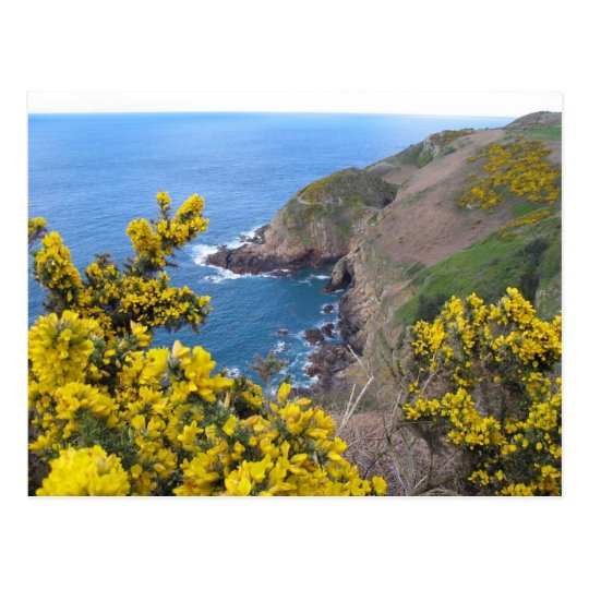 Photo Of The Coast In Jersey Postcard