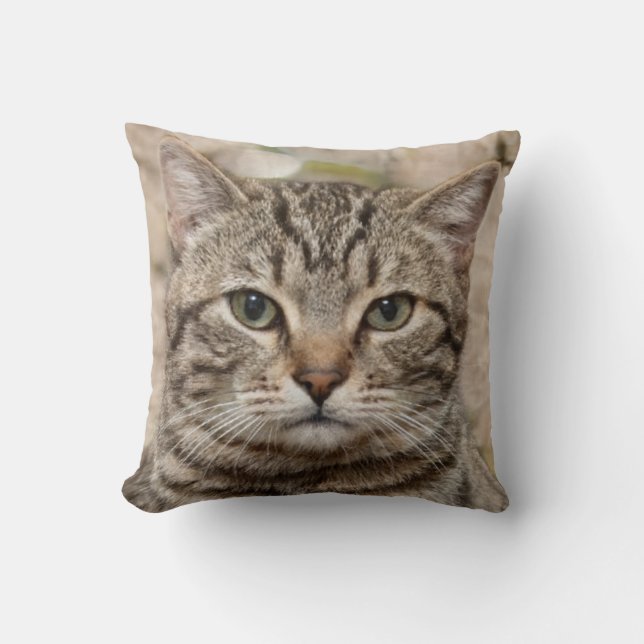 Photo of the serious tiger cat - lovers of cats cushion (Front)
