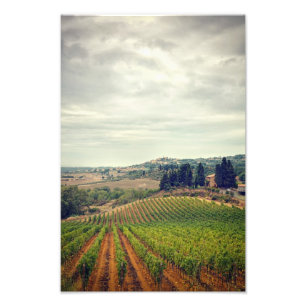 Photo of Tuscany vineyard with gloomy sky Print