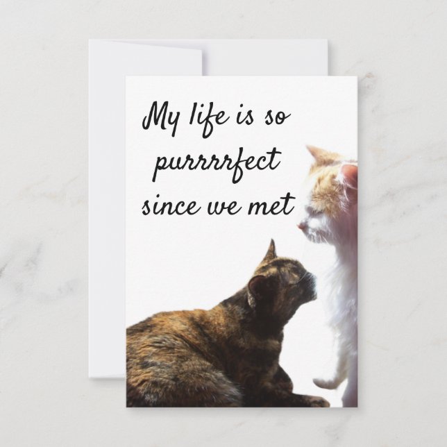 Photo of Two Cats with Valentine's Purrfect Life  (Front)