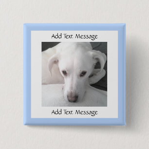 Photo Of Unique White Labrador Retriever Mix Dog 15 Cm Square Badge