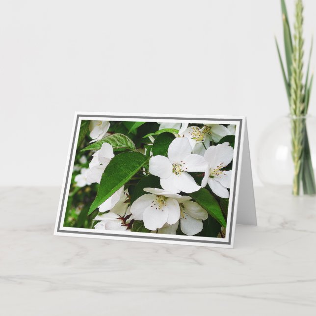 Photo of White Cherry Blossoms With Green Foliage Card (Front)