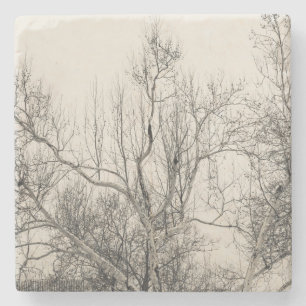 Photo of Winter Fog in Central Park NYC Stone Coaster