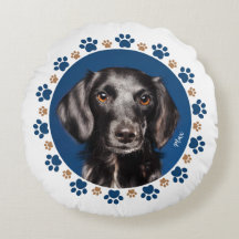 Photo of your pets |