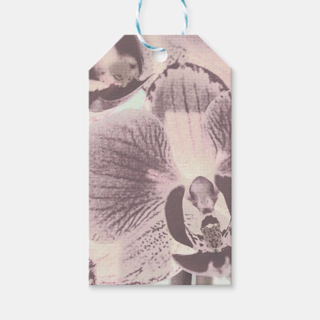 Photo , Orchid , retro Gift Tags (Front)