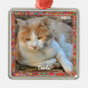 Photo Ornament - HAMbyWG