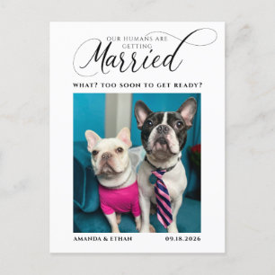 Photo Our Humans Getting Married Save the Date Announcement Postcard