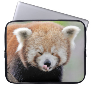 Photo panda , animals laptop cases .