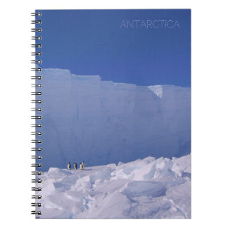 Photo. penguins near a huge glacier, Antarctica, s Notebook