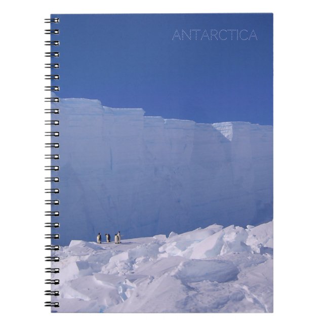 Photo. penguins near a huge glacier, Antarctica, s Notebook (Front)