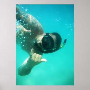photo perfect snorkelling poster