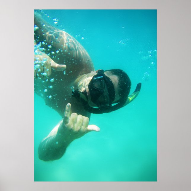 photo perfect snorkelling poster (Front)