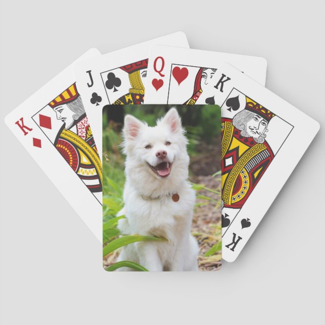 Photo Personalised Custom Playing Cards (Back)