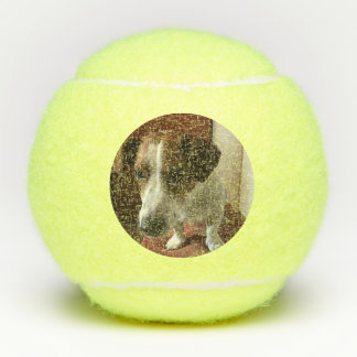 Photo personalized tennis balls Tennis balls