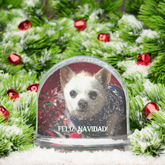Photo pet child family baby vacation Snow Globe