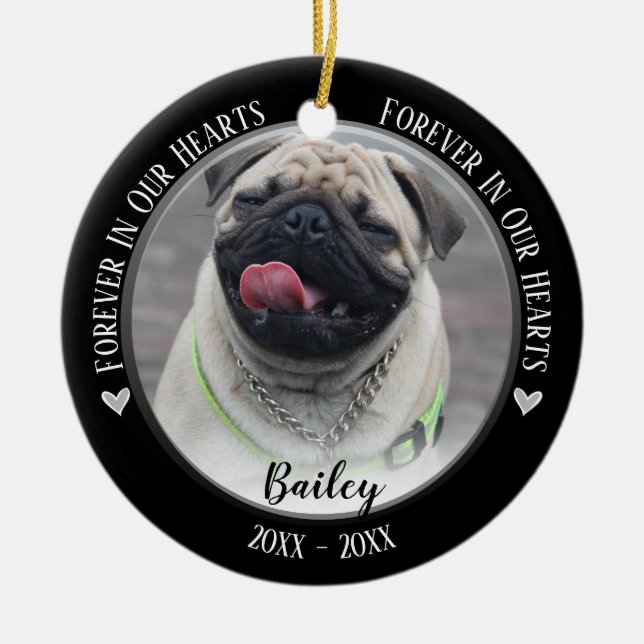 Photo Pet Memorial Keepsake Ornament (Front)