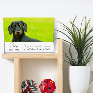 Photo Pet Memorial Plaque Dog Loss Keepsake Gift