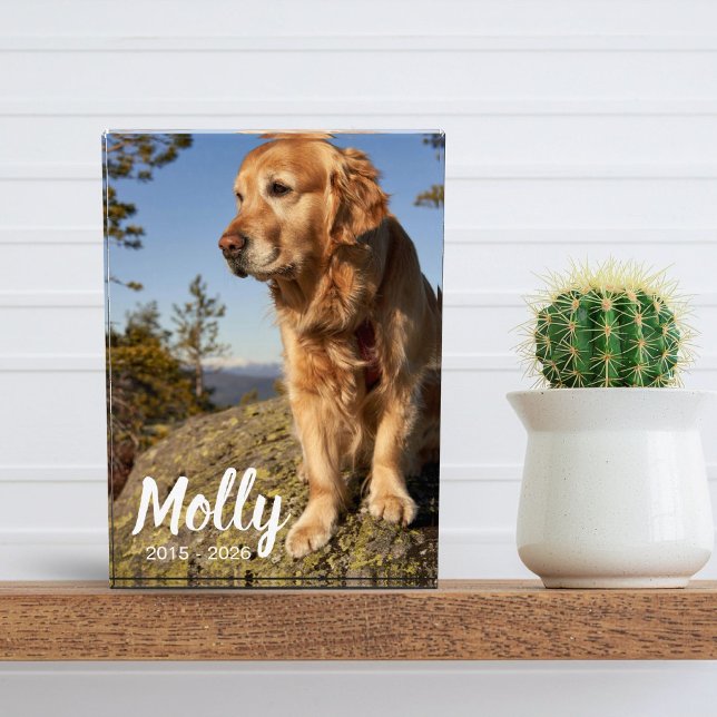 Photo Pet Memorial Plaque Dog Loss Keepsake Gift (Photo Pet Memorial Plaque Dog Loss Keepsake )