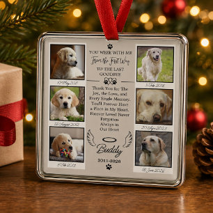 Photo Pet Memorial Remembrance Keepsake Portraits Metal Tree Decoration