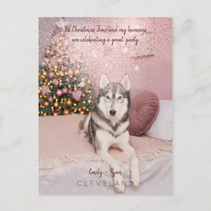 Photo Pet Sophisticated Christmas Party Postcard