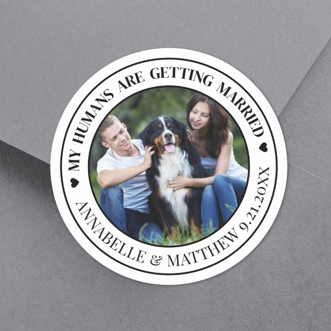 Photo Pet Wedding Save The Date Classic Round Sticker (Dog Photo Pet Wedding Save The Date Classic Round Sticker)