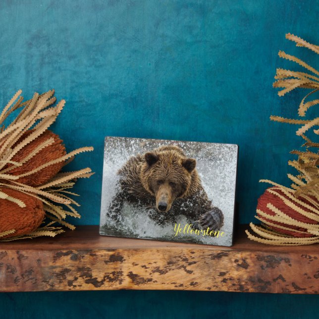 Photo Plaque-Yellowstone Bear Plaque (Side)