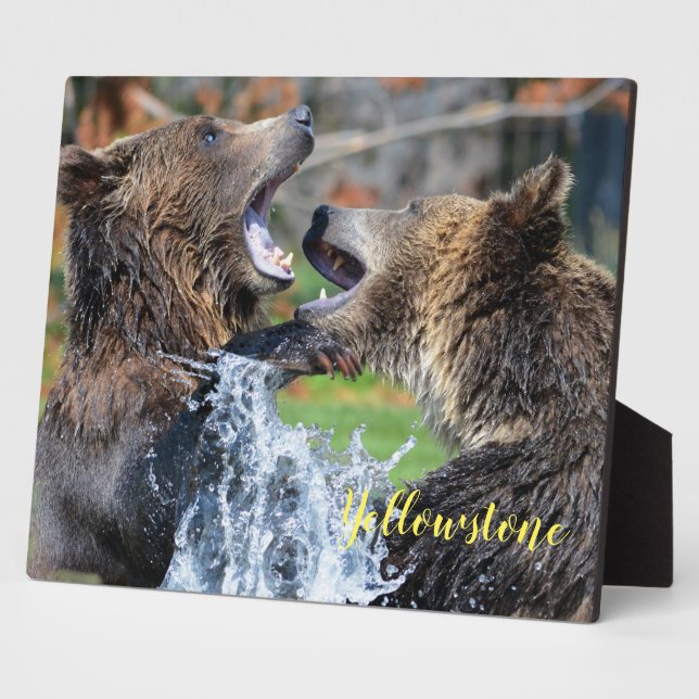 Photo Plaque-Yellowstone Bears Plaque (Side)