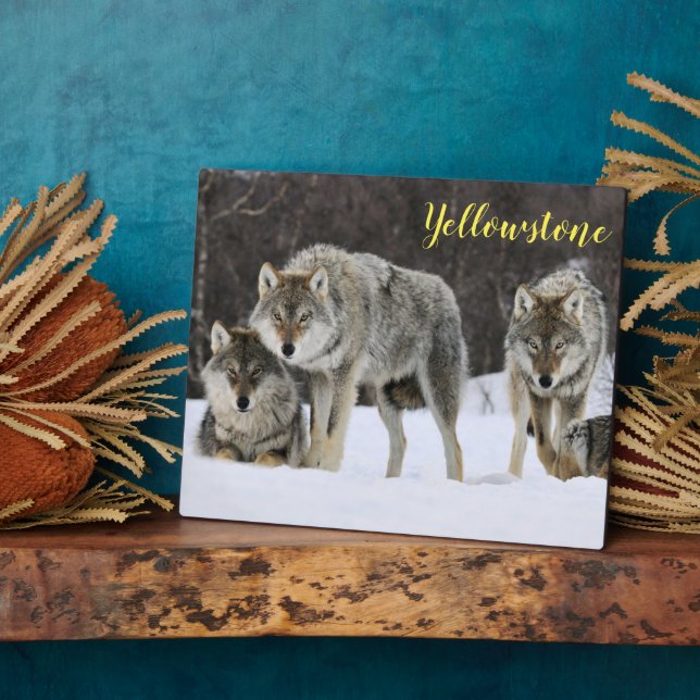 Photo Plaque-Yellowstone Wolves Plaque (Side)