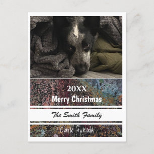 Photo Post Card - HAMbyWG