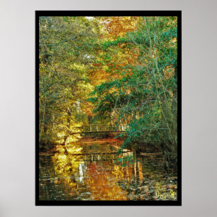 photo poster autumn bridge river