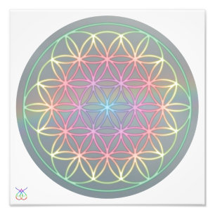 Photo Poster ~ Healing~Energy "Flower Of Life"
