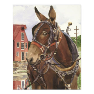 Photo poster, mule