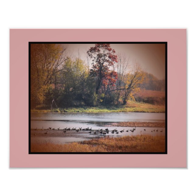 Photo Print 11x14 Canada Geese in Autumn (Front)