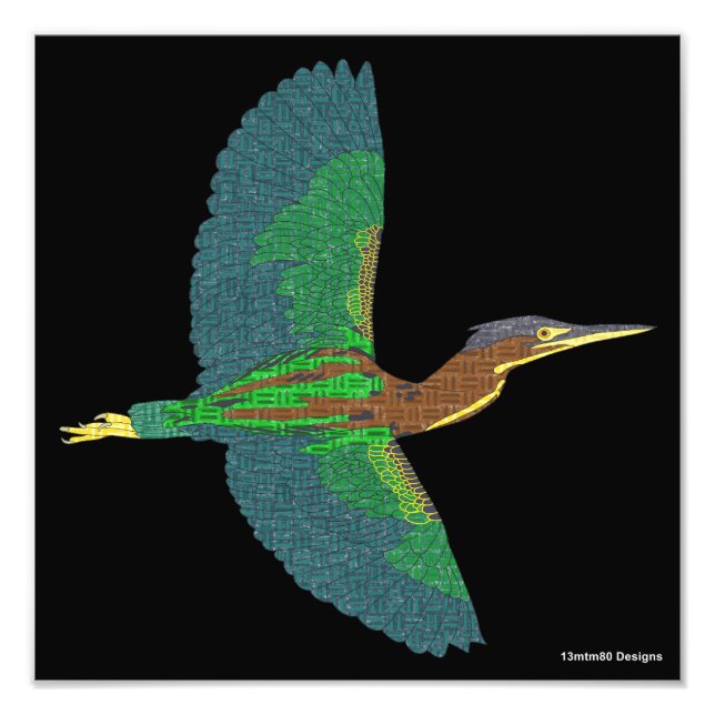 Photo Print - Green Heron (black) (Front)